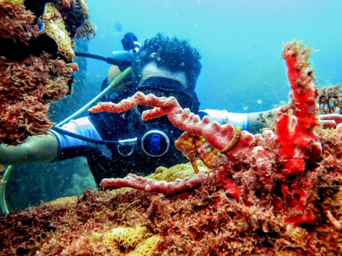 Pousada E Mergulho Dolce Vita Praia Vermelha  ภายนอก รูปภาพ